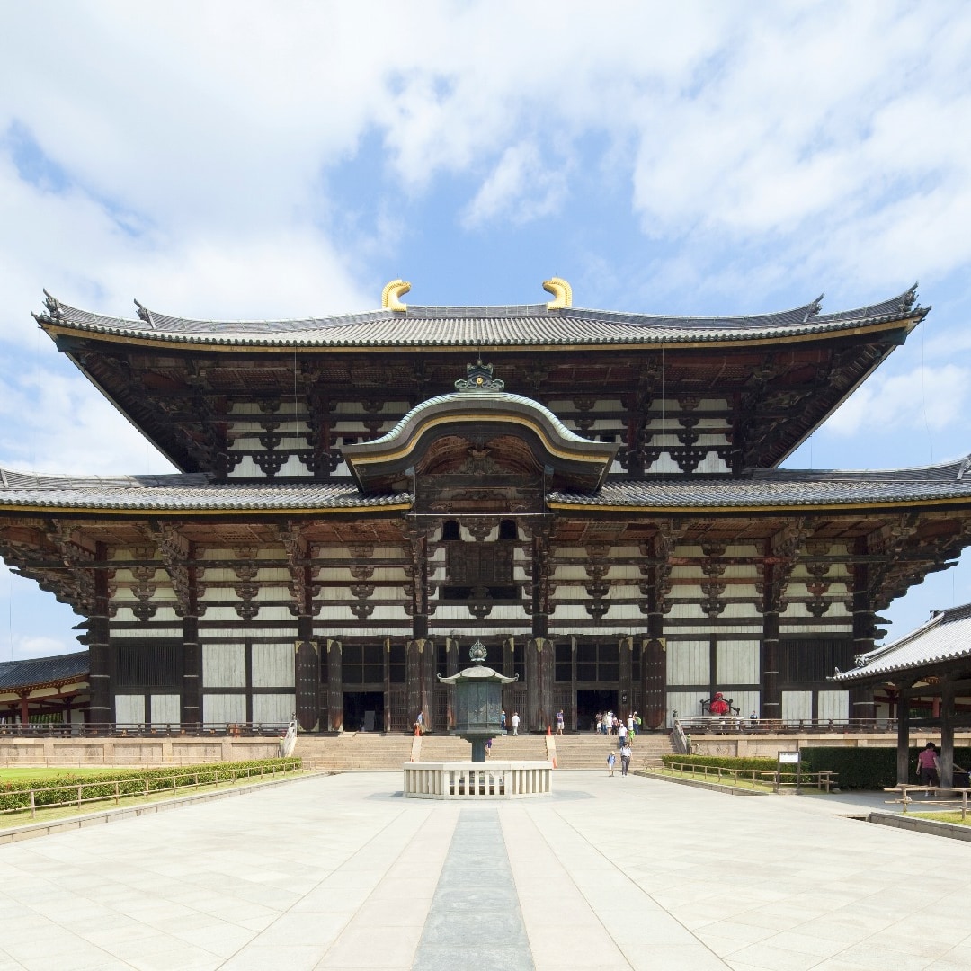 【京都奈良公园一日游】奈良东大寺 & 奈良公园 & 兴福寺