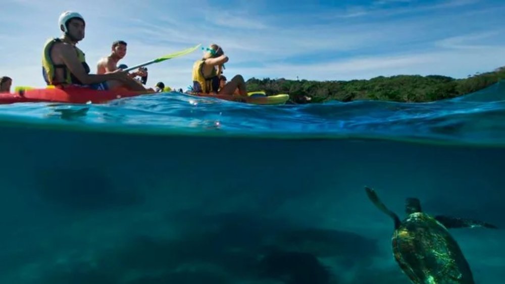 Tempat Wisata Di Sydney Yang Wajib Banget Dikunjungi Klook Blog