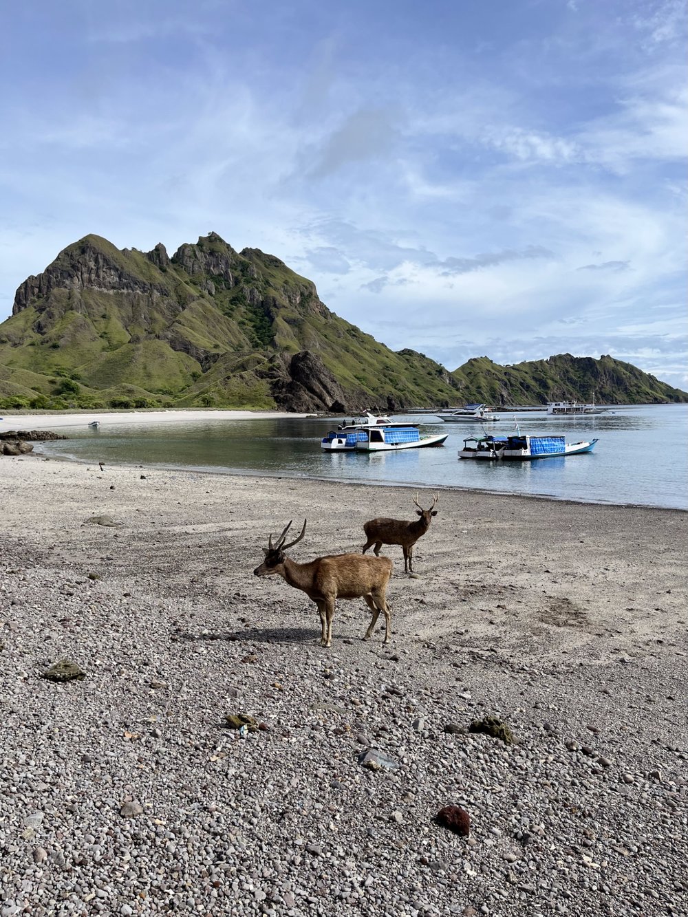 Labuan Bajo Guide Best Things To Do Where To Stay How To Go Klook