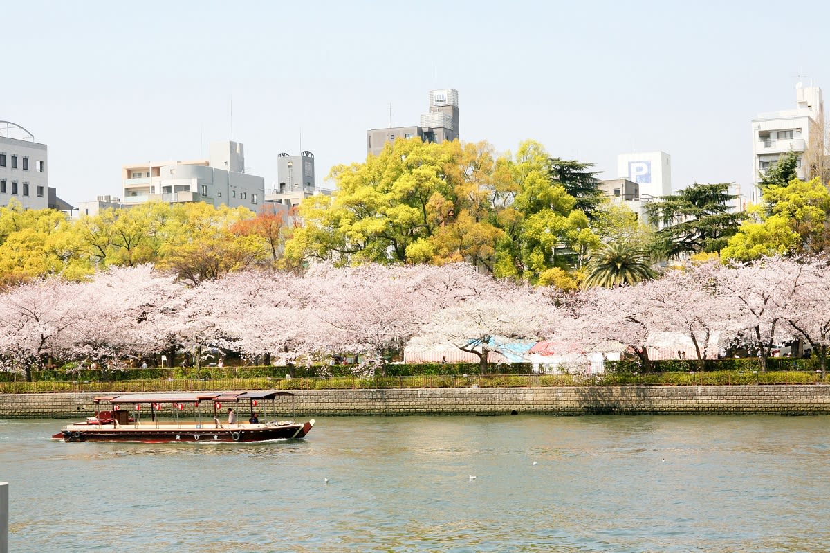 【2019樱花季】日本大阪樱花景点懒人包!千株樱花齐放