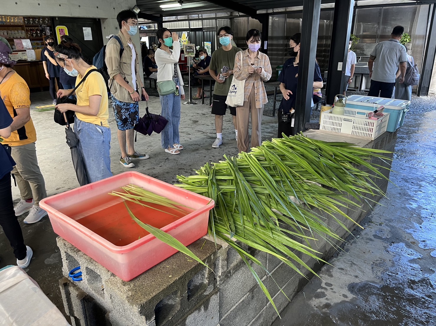 宜兰张美阿嬷农场水豚君梅花鹿袋鼠草泥马喂食趣DIY套票 Klook客路