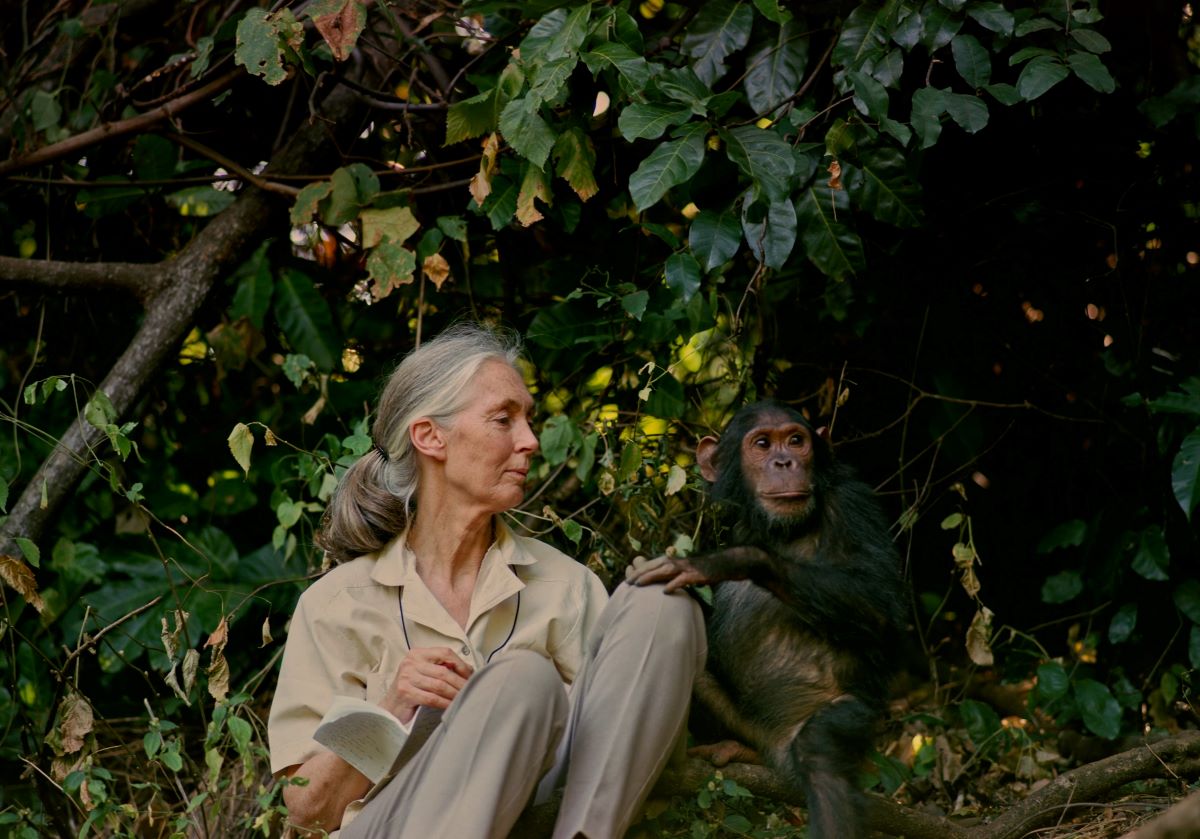 Jane Goodall Reasons For HopeDome Show