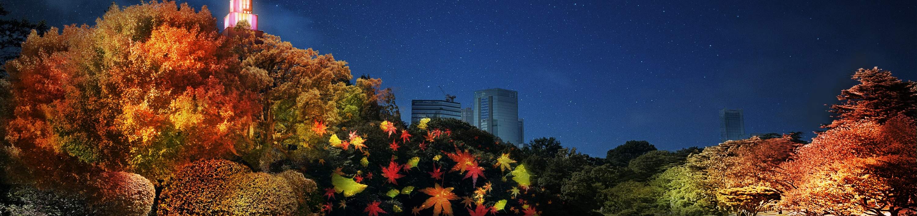 NAKED Night Garden At Shinjuku Gyoen Admission In Tokyo Klook