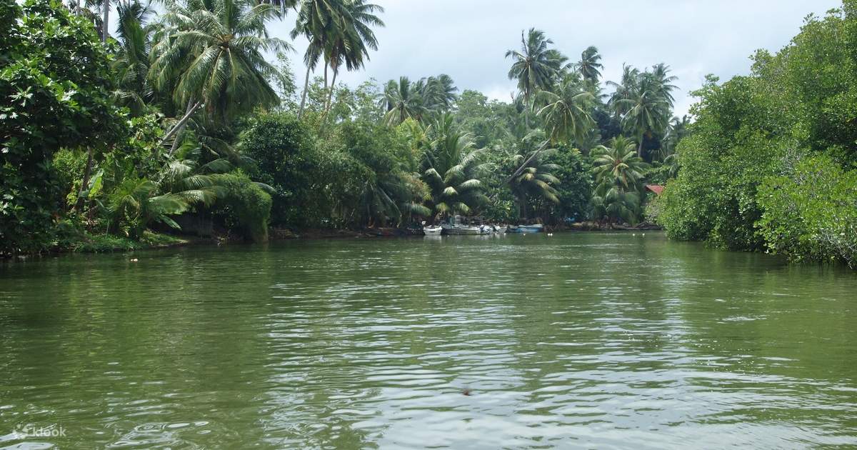 safari in sri lanka | discover rural life in sri lanka