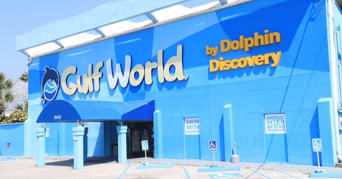 interact with marine life at gulf world marine park