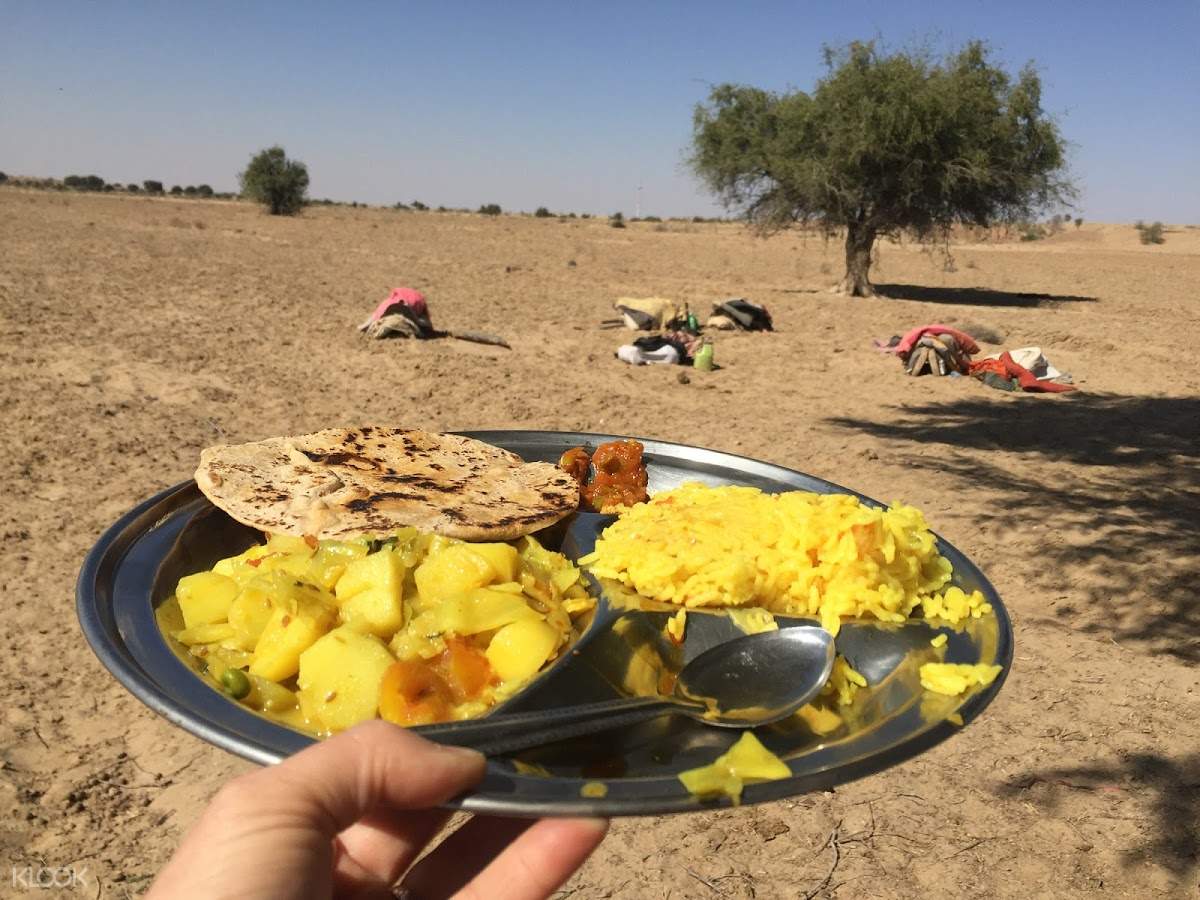 thar desert camel safari from jodhpur