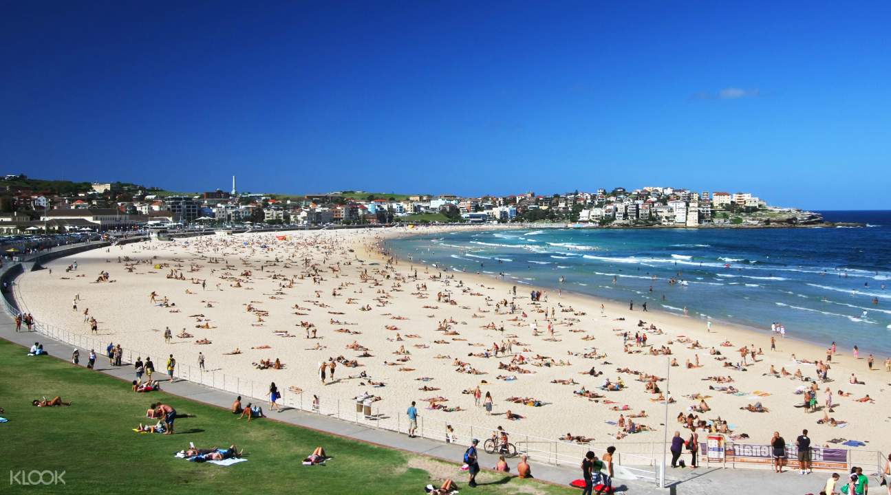 bondi beach & sydney sights half day tour