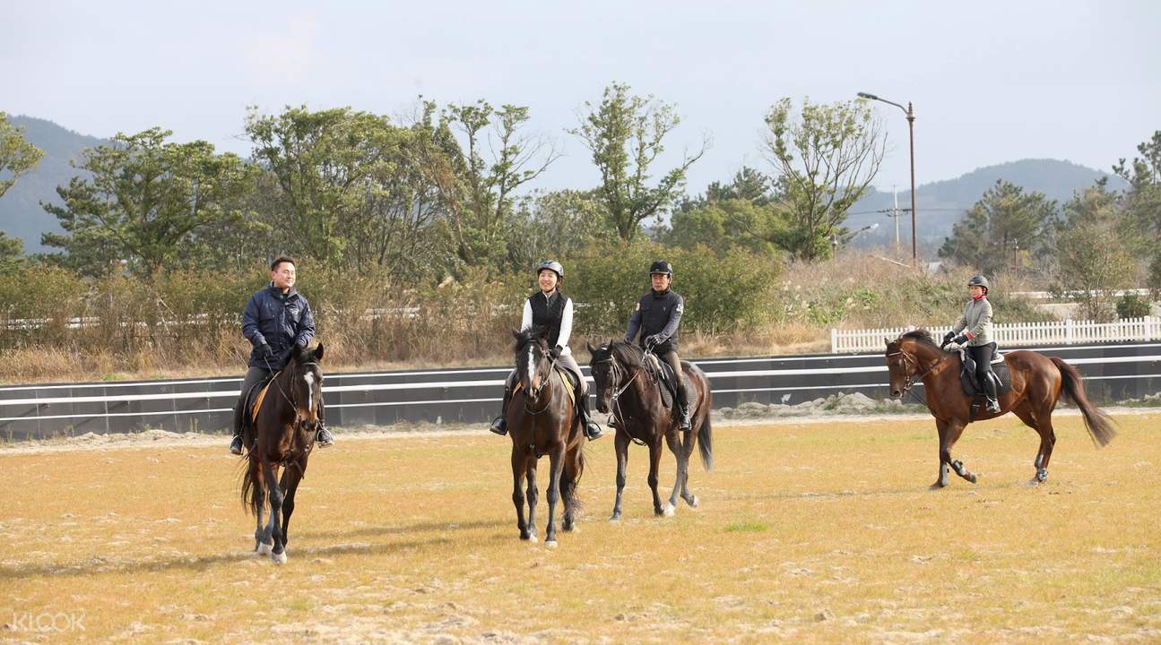 济州乐园骑马场