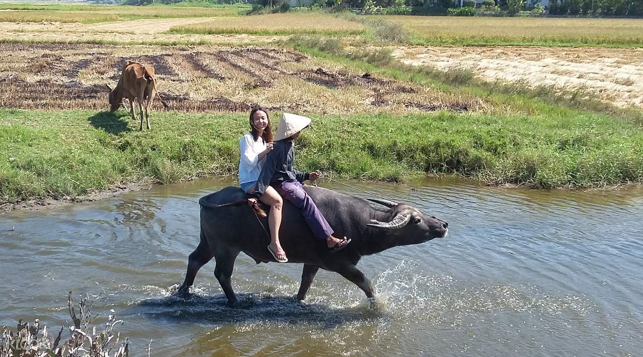 会安骑水牛