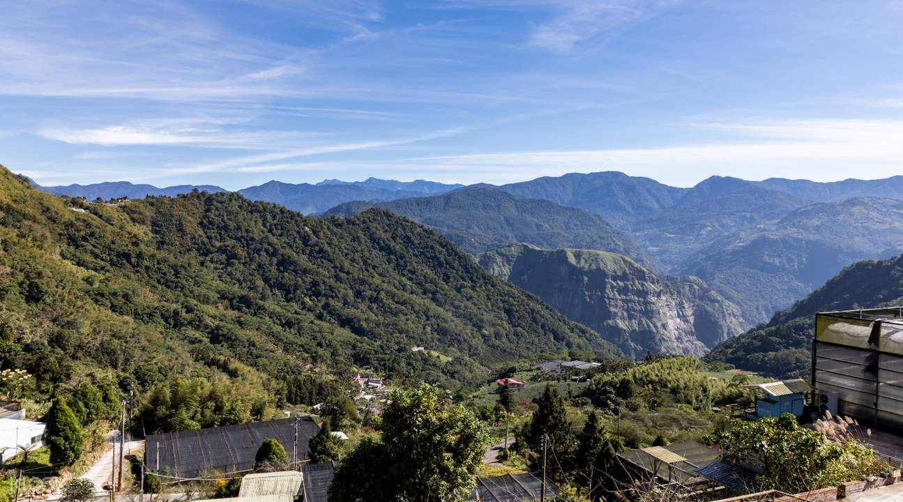 阿里山拥抱山林森呼吸一日游(嘉义出发)