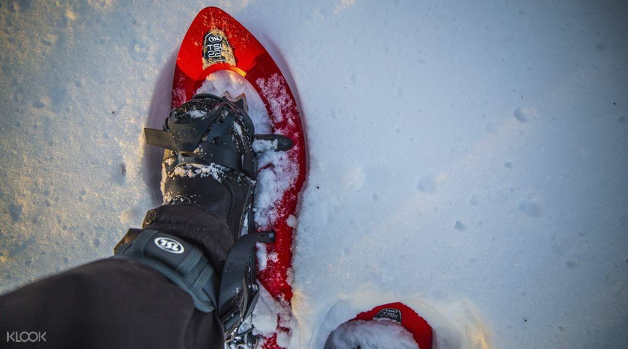 snowshoe hikers,snow slider rovaniemi wilderness snowshoe adventure