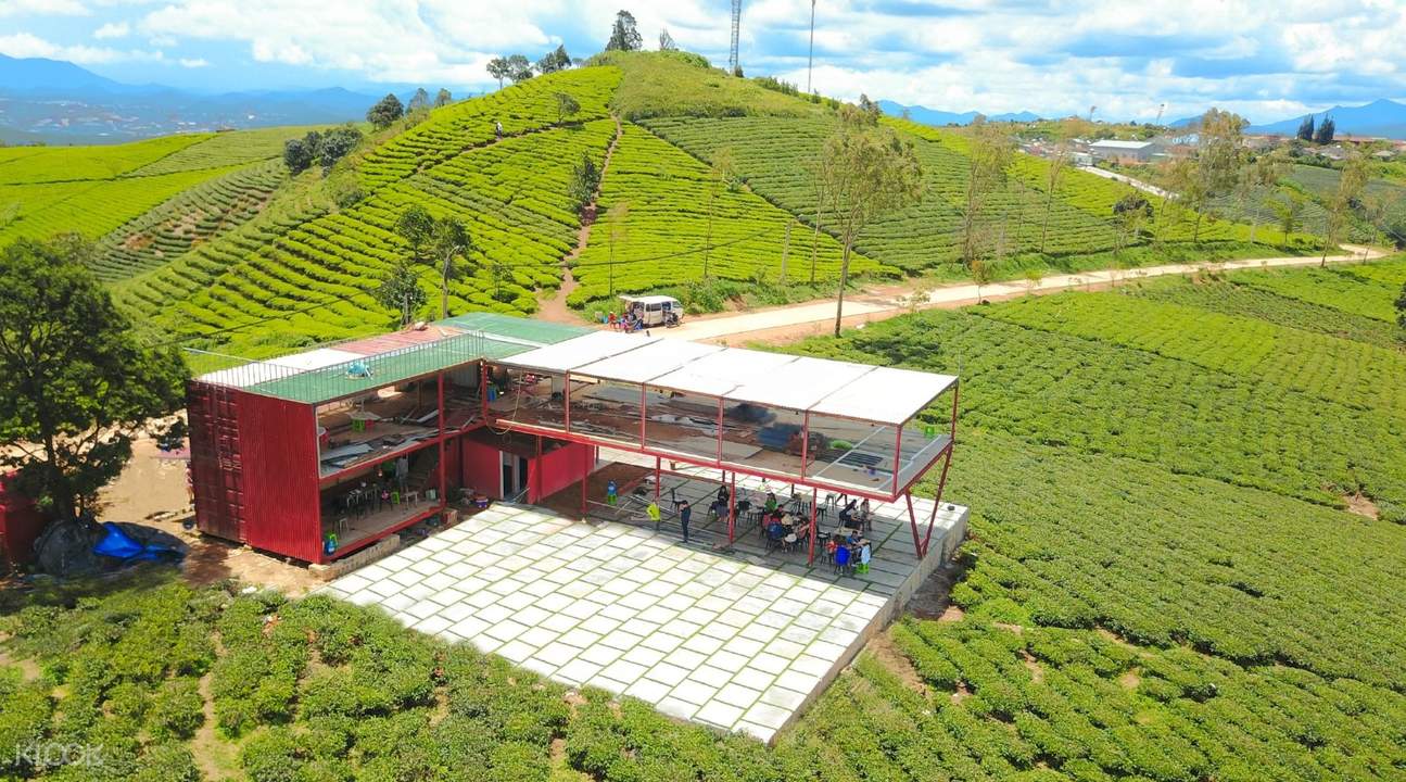 cau dat tea plantation and zoodoo - zoo & cafe full day tour