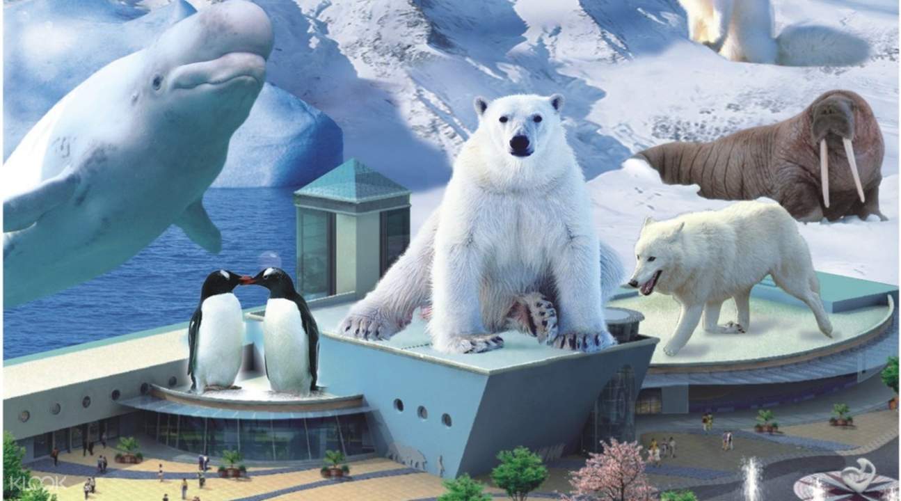 shenzhen ocean world one day admission
