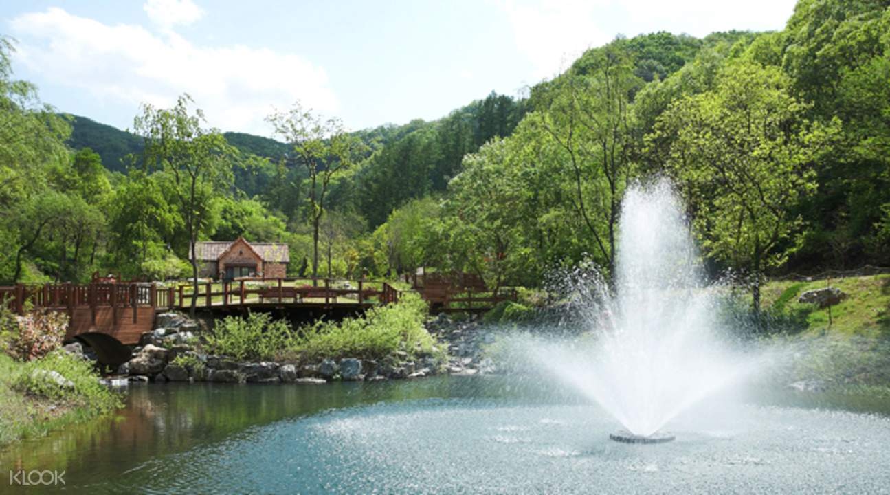 小瑞士村 & jade garden 树木园一日游(tk travel 提供)