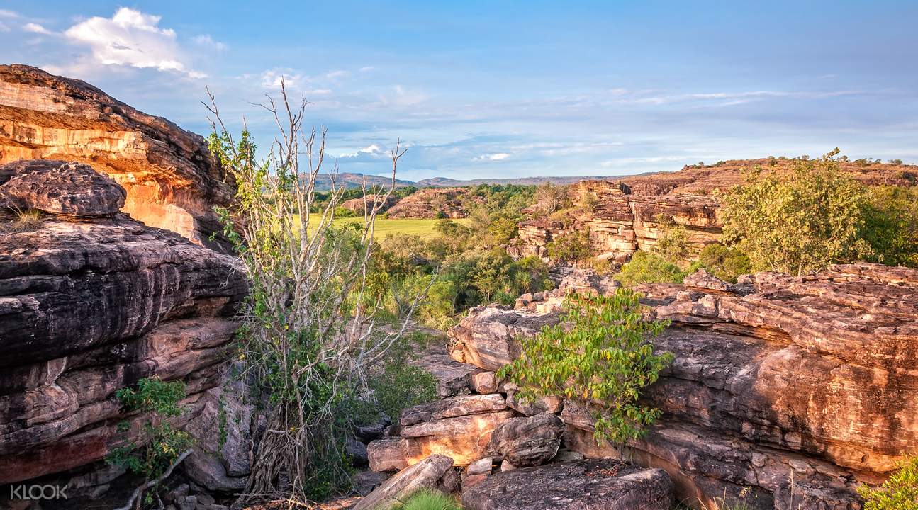 kakadu national park and mary river adventure full day tour