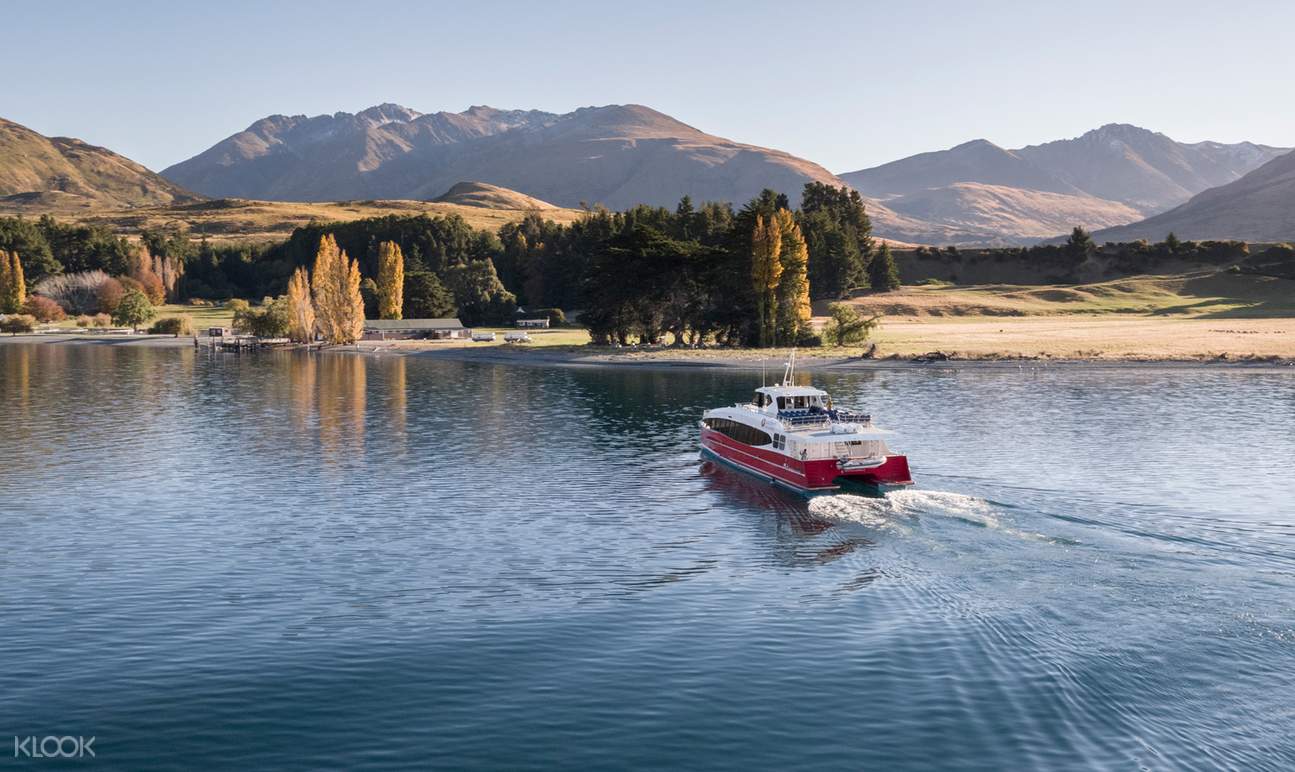 fiord day cruise in milford sound