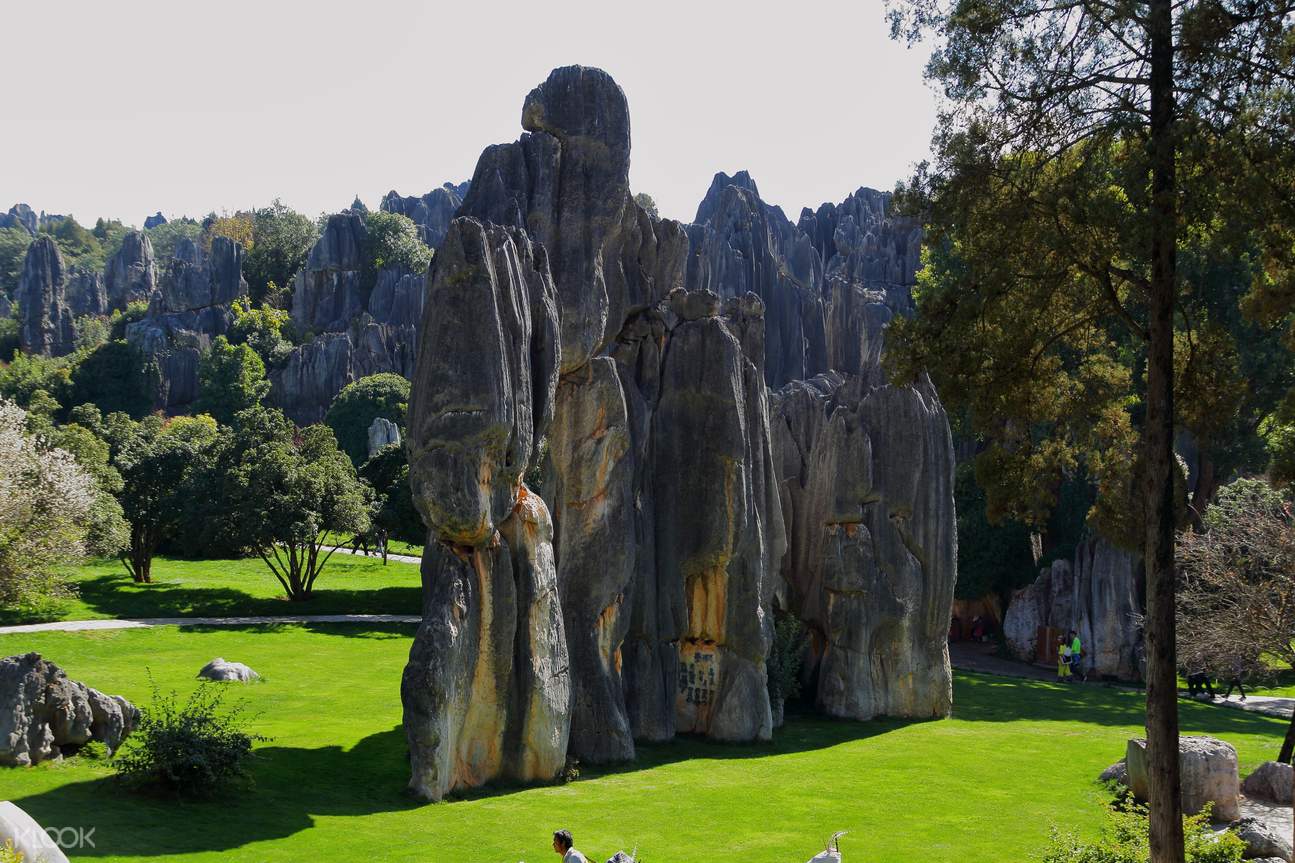云南昆明石林风景区门票