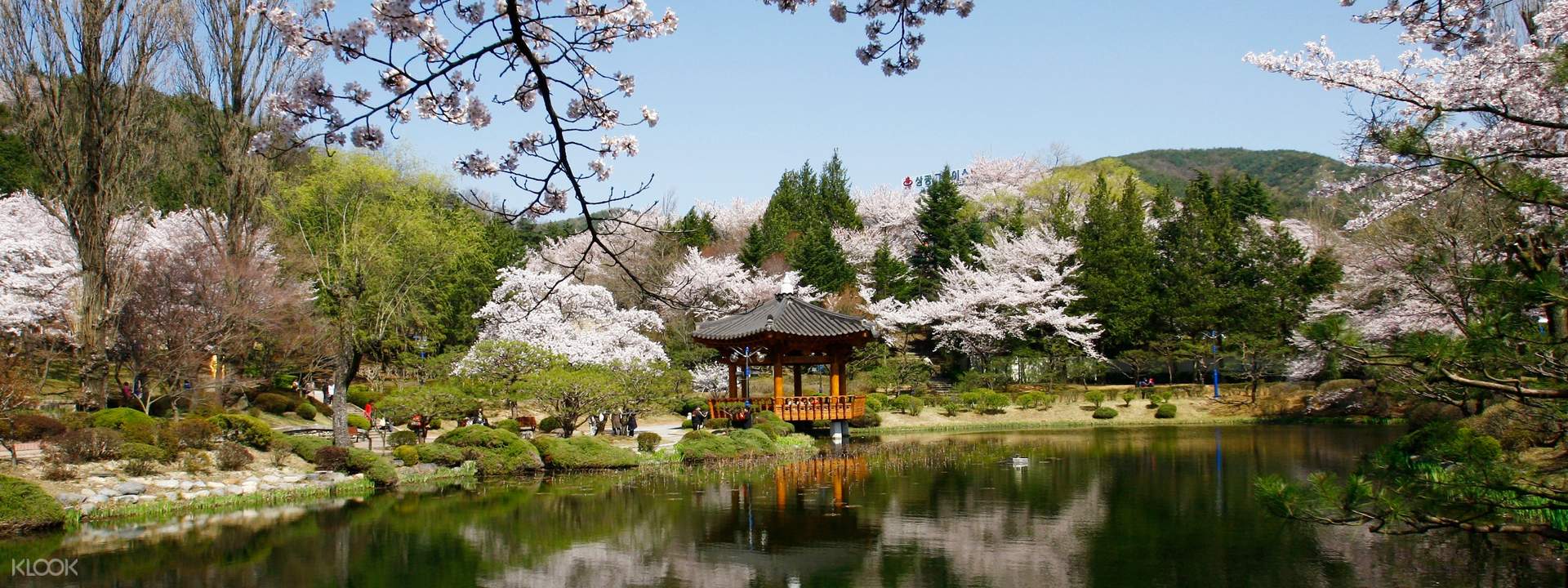 庆州古城历史遗迹赏樱一日游 (首尔出发)(tk travel 提供)