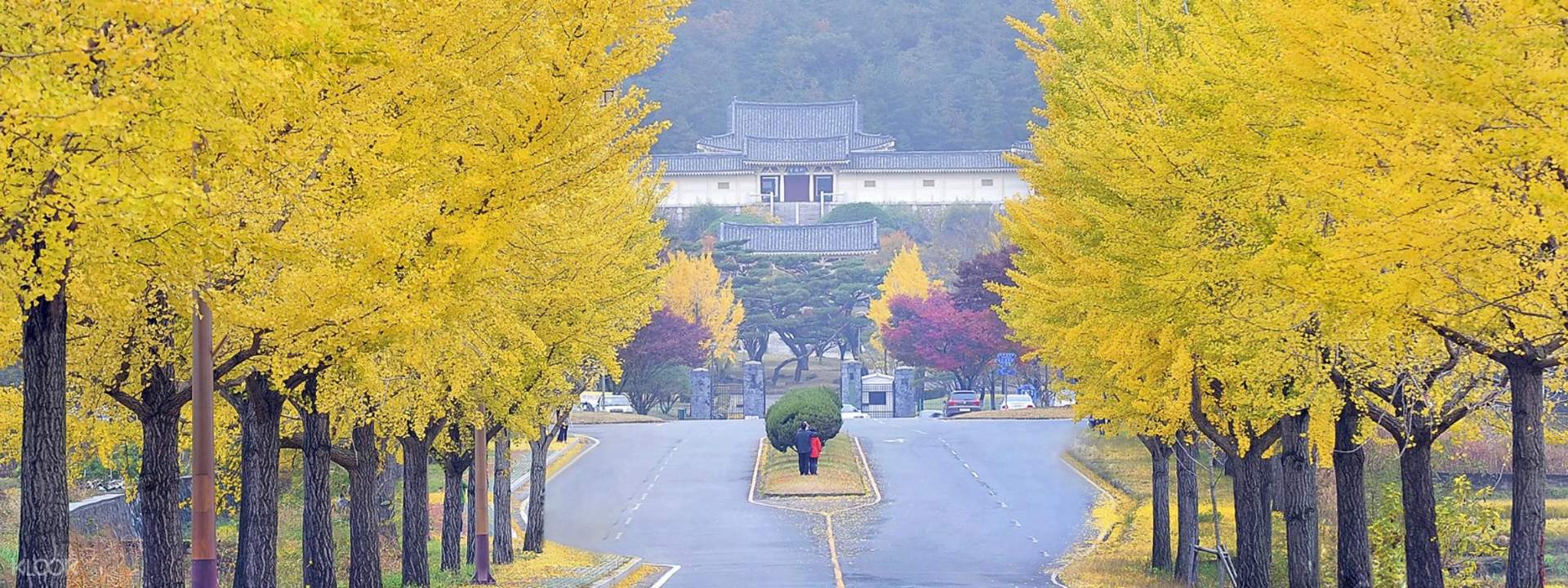 庆州古城历史遗迹赏枫两日游(首尔出发)(tk travel 提供)