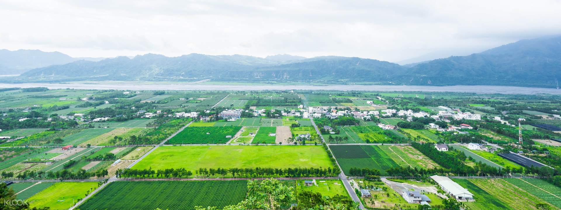 台东纵谷欣赏茶园风光半日游:龙田村 & 鹿野高台 & 斑鸠冰