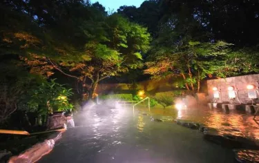 Sakura Sakura Hot Springs Kirishima Hotel Deals Klook India