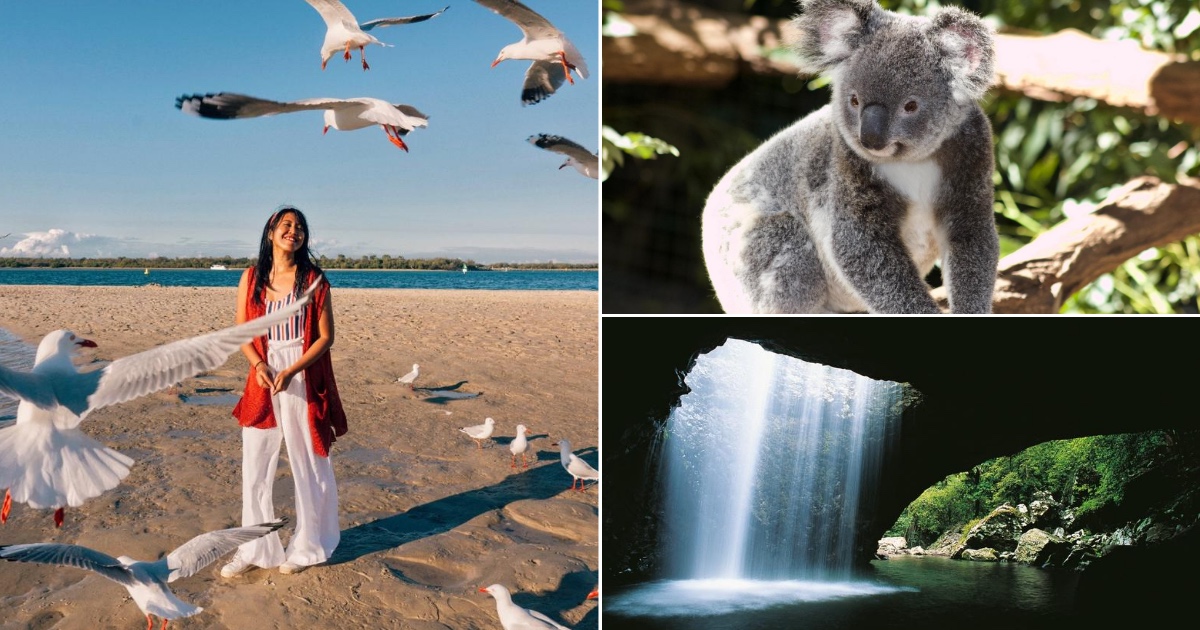 Dari Brisbane Sampai Gold Coast 10 Aktivitas Liburan Keluarga Terbaik Di Queensland Klook Blog