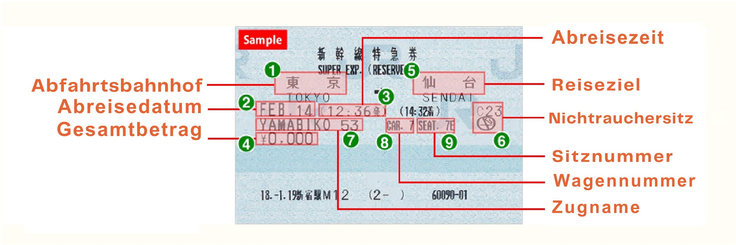 sample express ticket