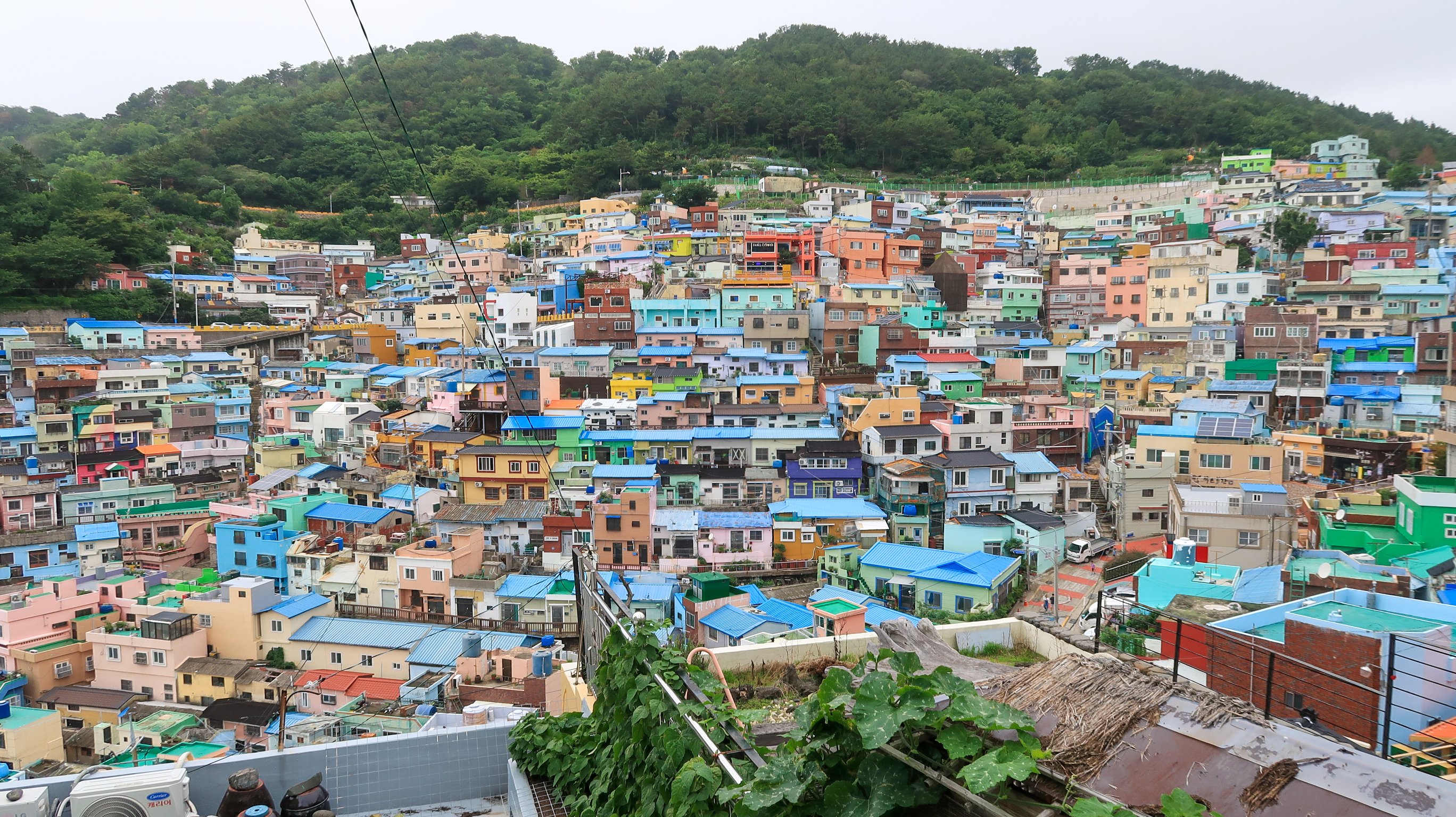 감천문화마을 파스텔톤, 감천문화마을 역사, 감천문화마을 1950년대, 감천문화마을 정보