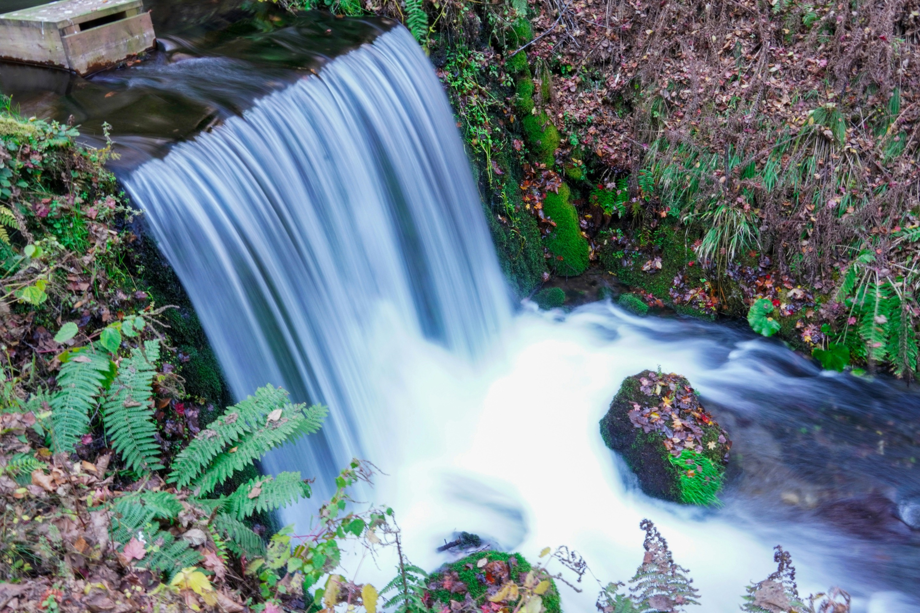 A wide, serene photograph of Shiraito Falls in Karuizawa, Japan, during autumn. Numerous delicate, thread-like streams of water cascade gently over a wide, curved rock face covered in lush green moss.