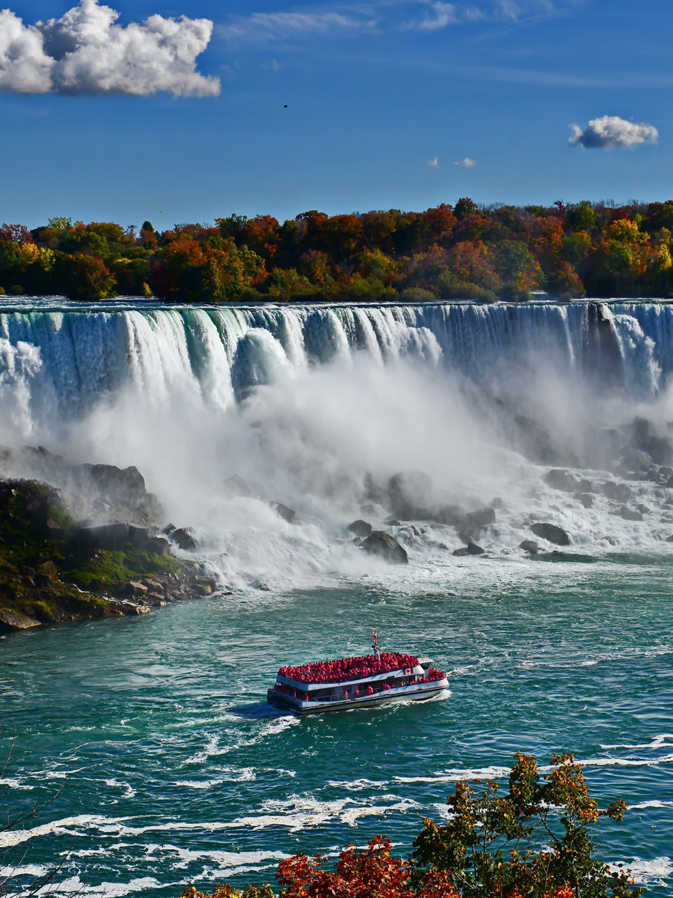 Are Dogs Allowed At Niagara Falls