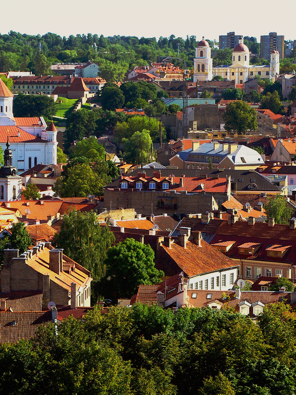 Vilnius nuogi