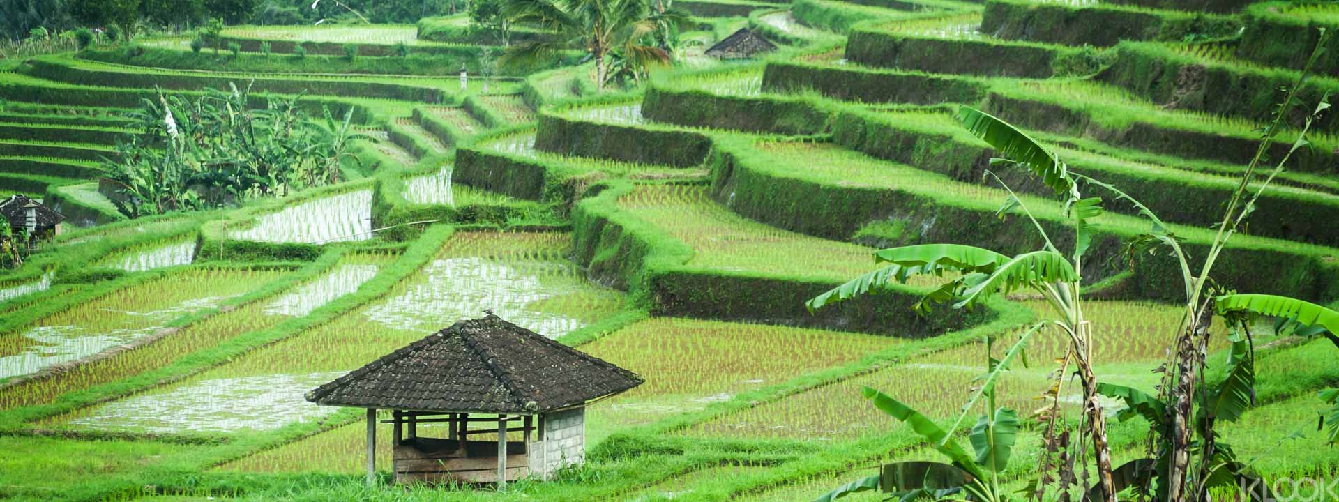 The Heart of Bali Tour