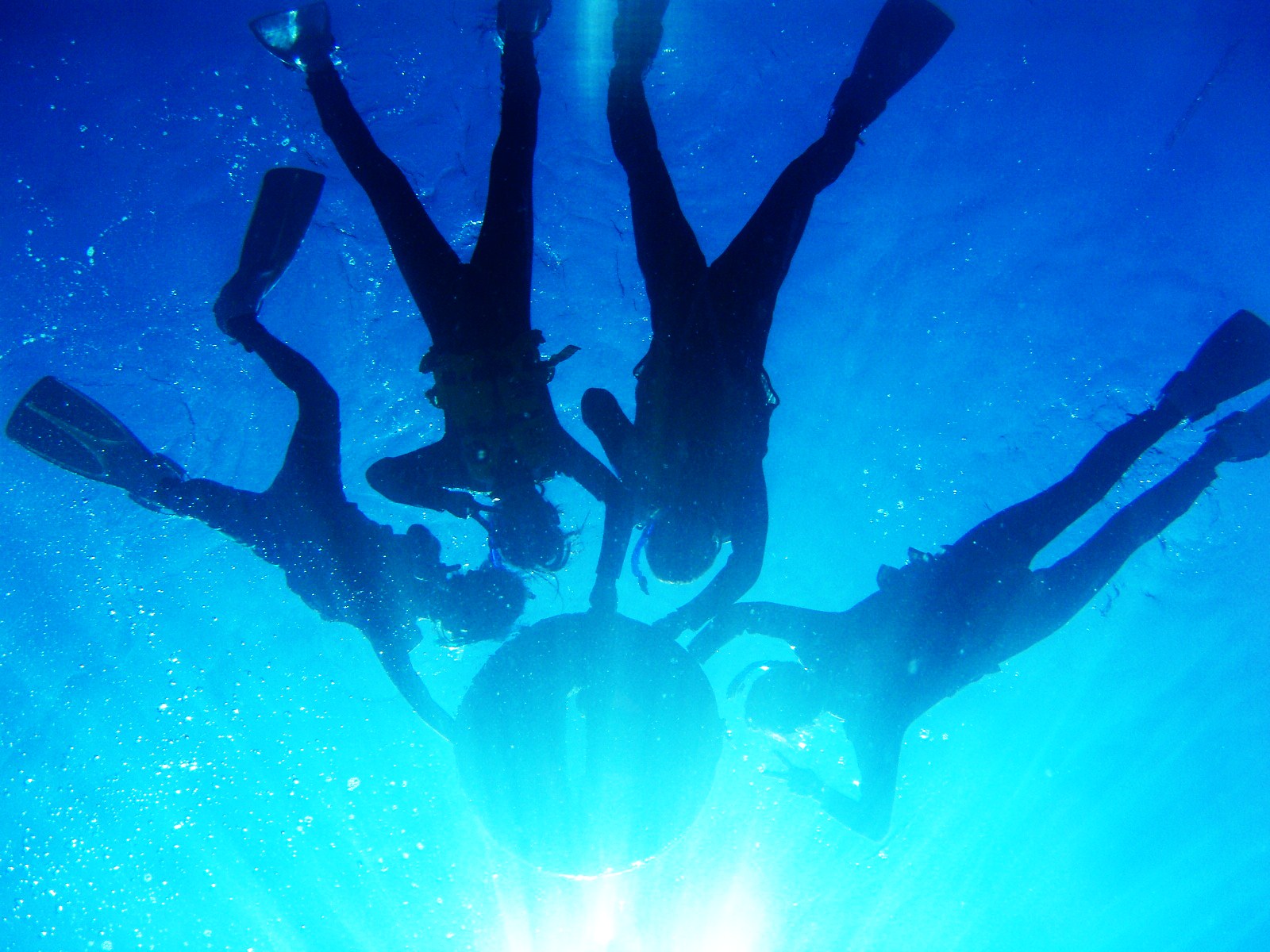 不讓任何人掉隊，與朋友和家人一起享受水下體驗