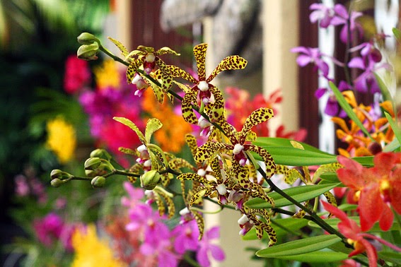 Парк птиц Куала-Лумпур