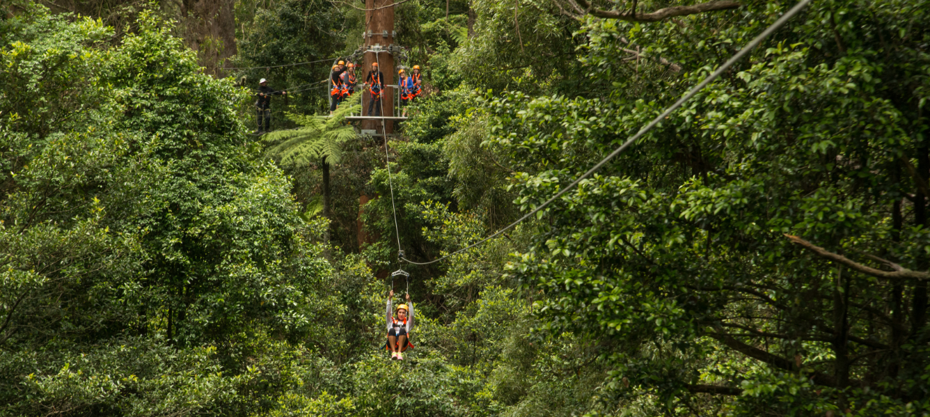 Illawarra Fly Zip Line Tour