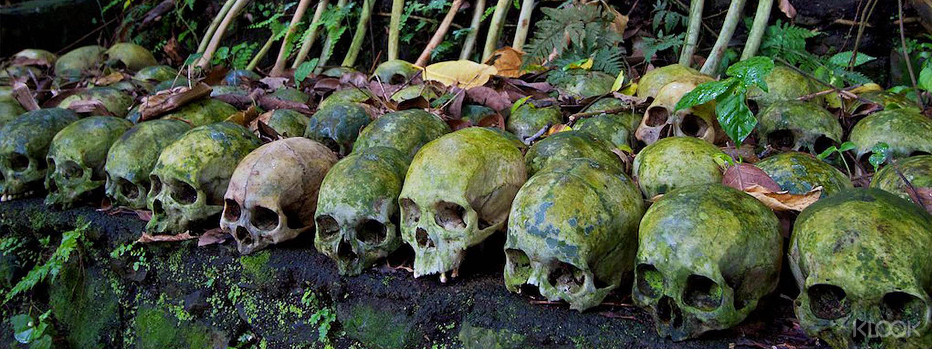 Skulls & Bones Trunyan Village Tour