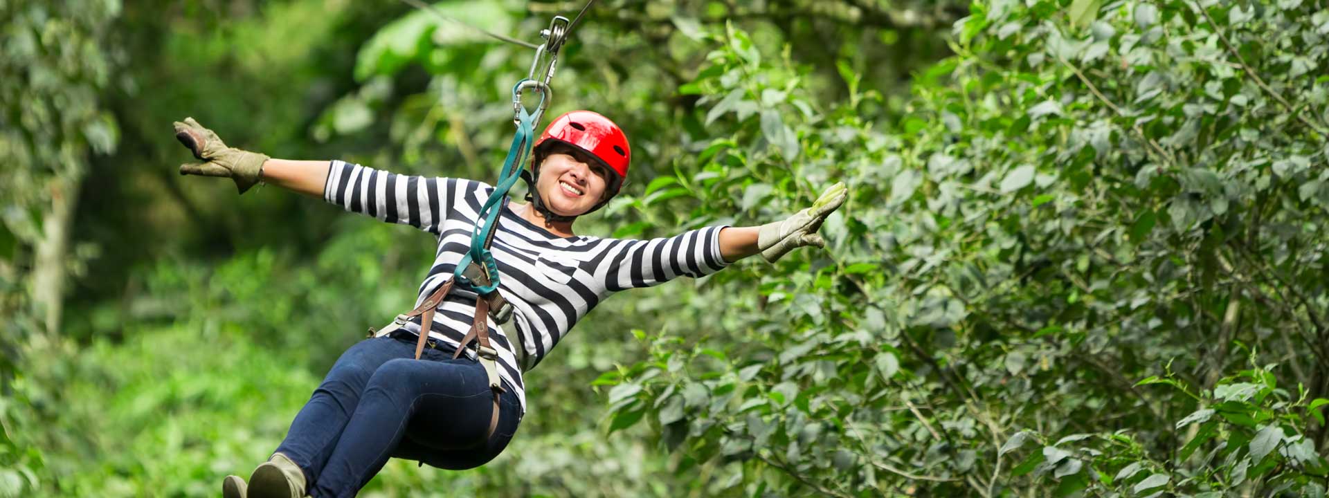 Flight of the Gibbon Chiang Mai