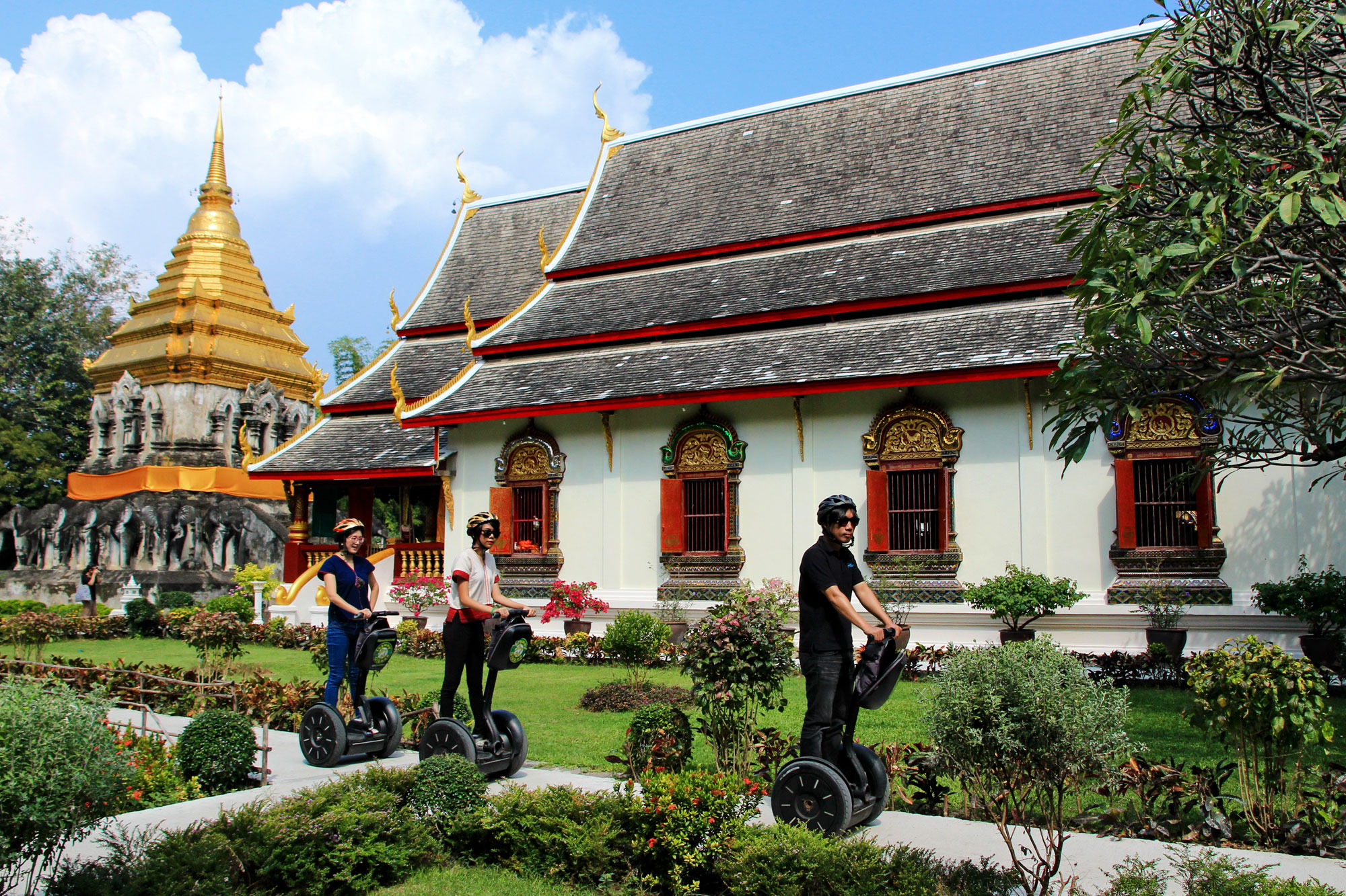 Chiang Mai Gibbon Glider Tour