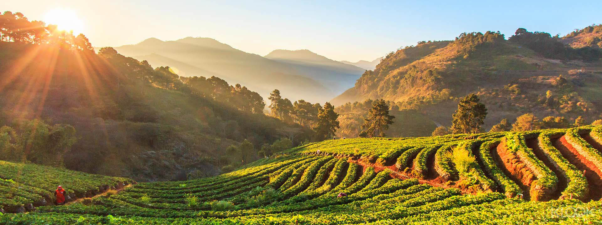 Doi Inthanon National Park