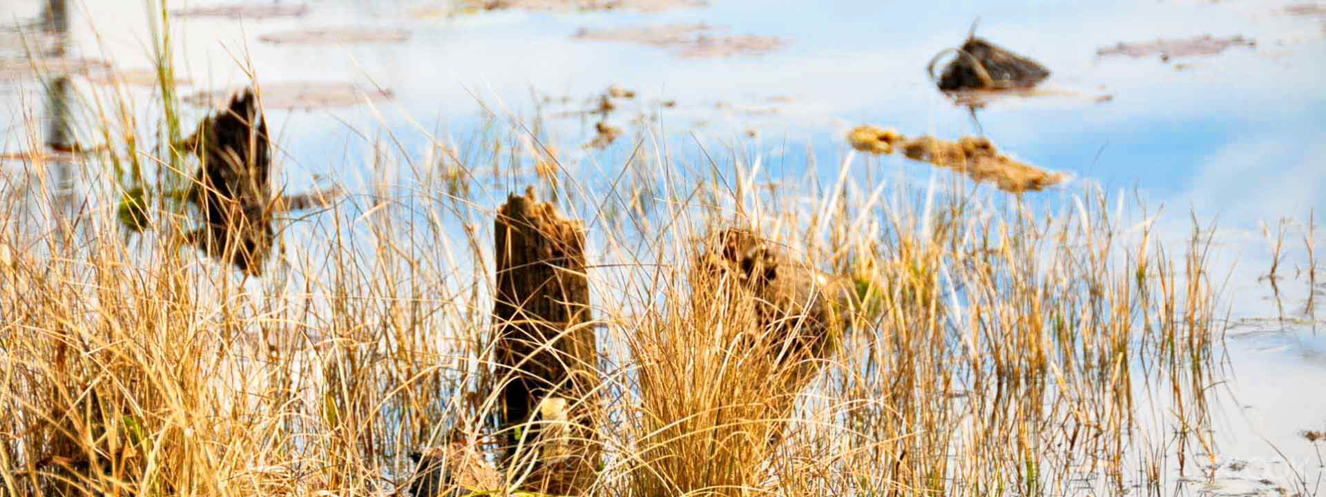 Yunlin Ecological Wetlands Park