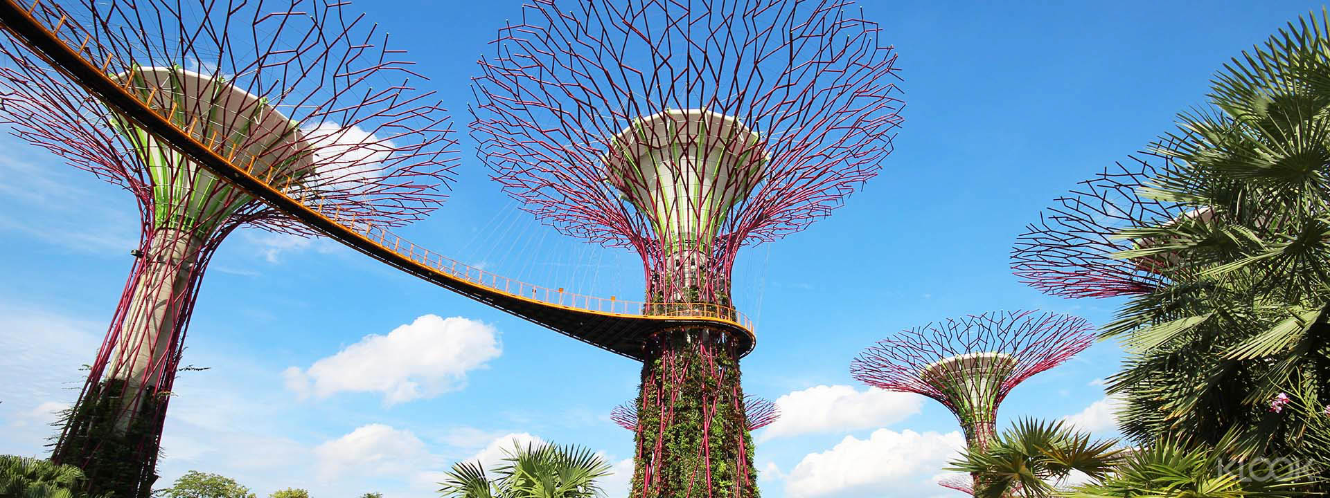 Gardens by the Bay Ticket in Singapore Price 2024) Ticket Combo