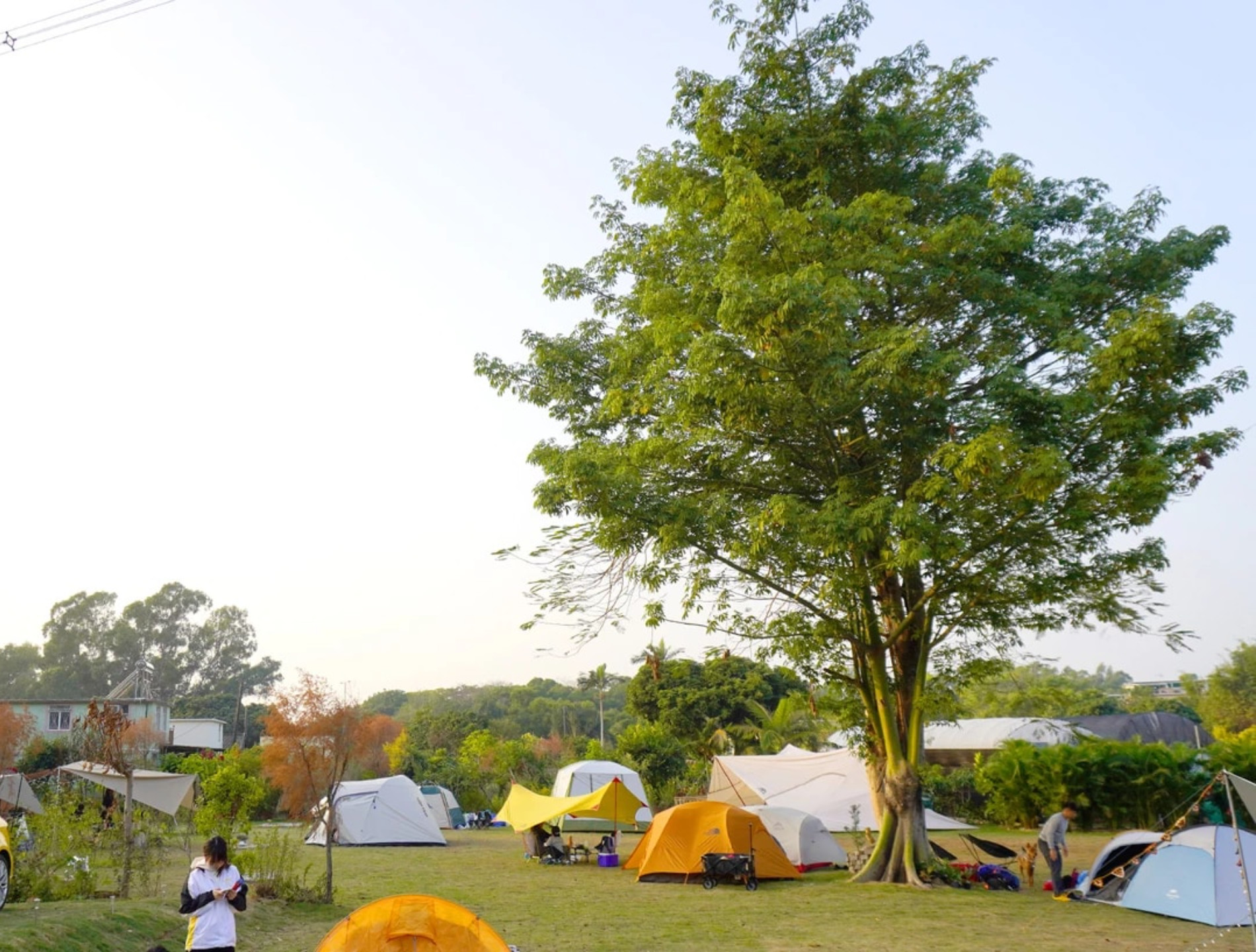 Mori no Tani Auto Camping/Camping