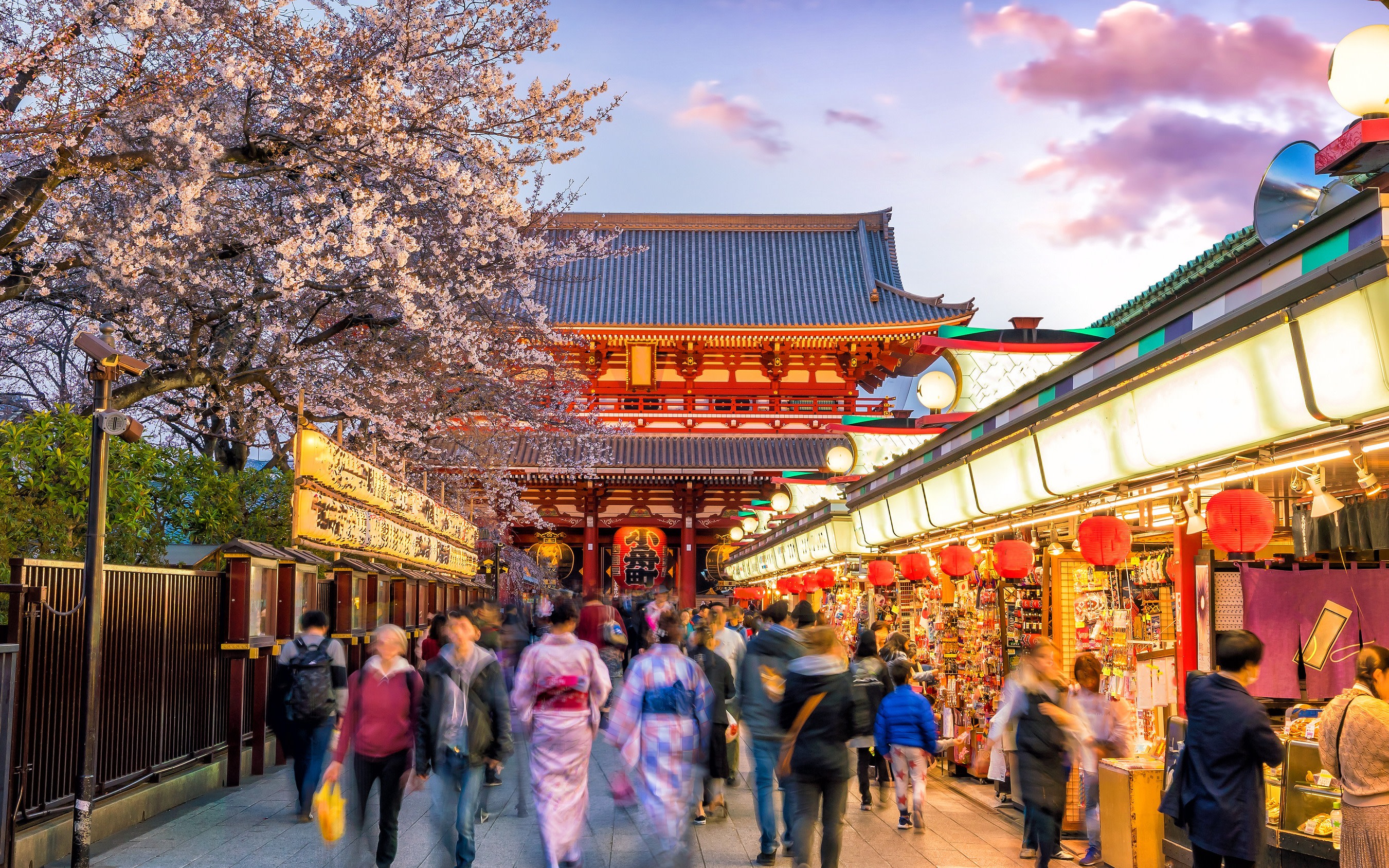 Asakusa, Kappabashi, and Ueno Walking Tour: Experience Tokyo's History and Culture in 3 Hours