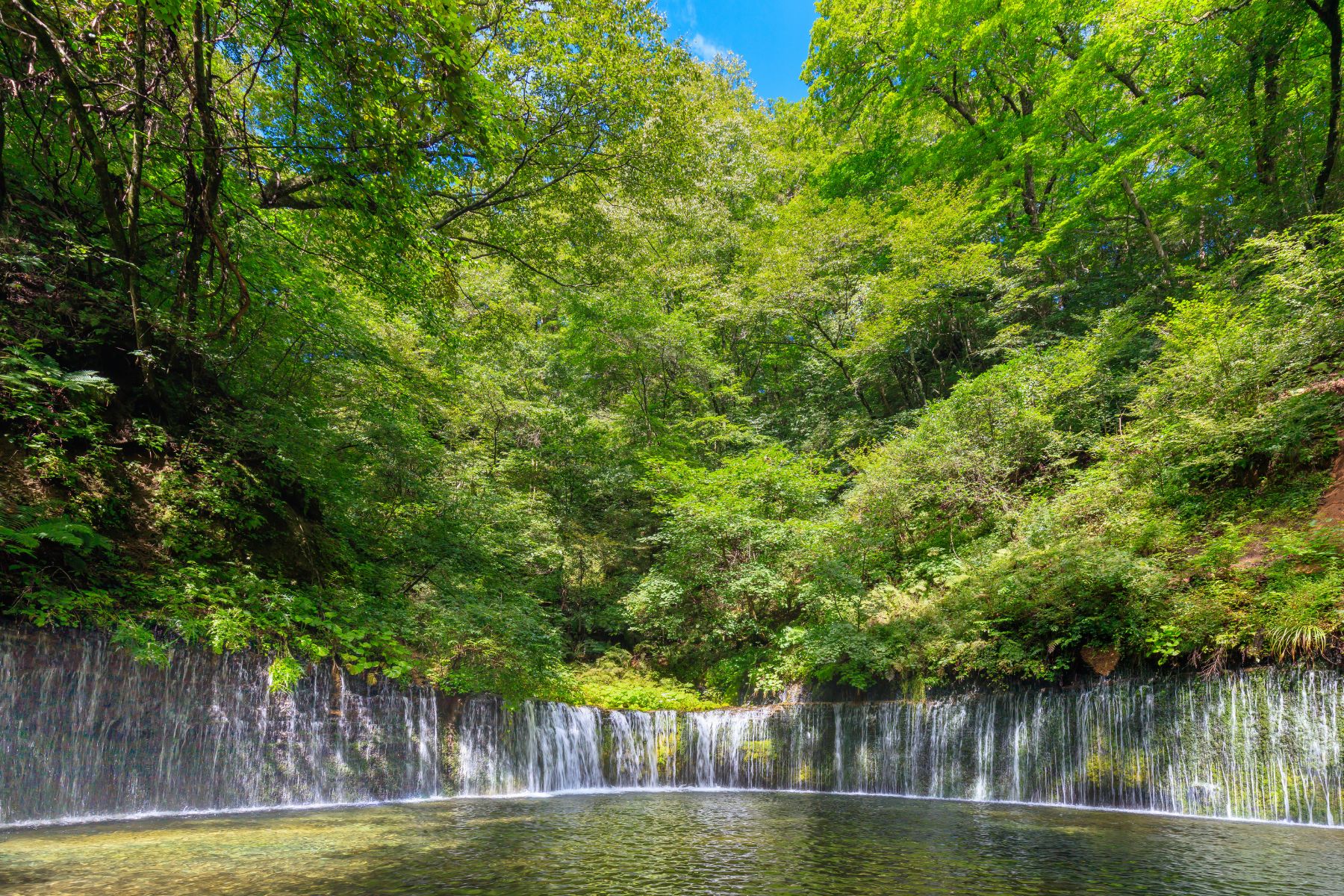 長野: 諏訪湖花火大會2日遊 (東京出發)