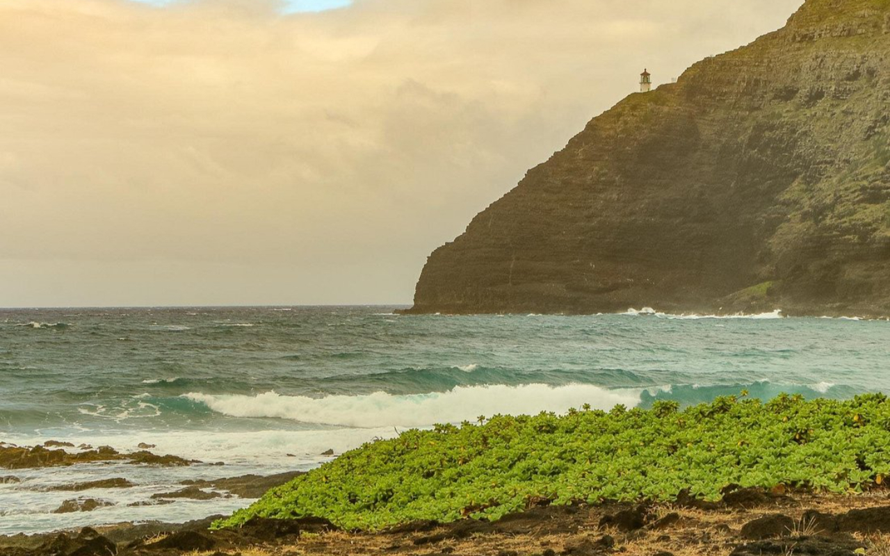 Enjoy a quiet moment at Pearl Harbor’s USS Arizona Memorial, honoring history and braver