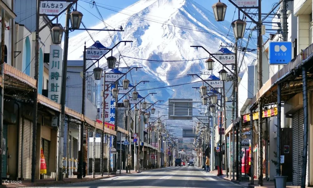 富士山一日遊：賞花 & 暢遊奧特萊斯（東京出發）