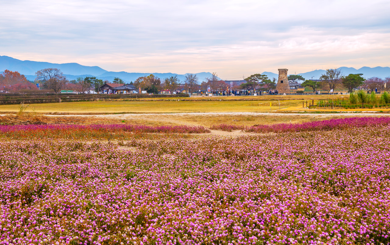 現今瞻星臺周邊為開放式公園，秋季粉黛亂子草盛開時更成為熱門打卡景點。