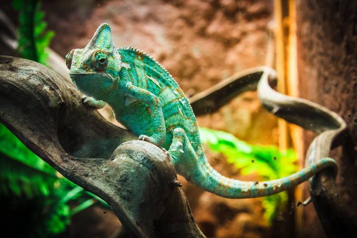 芭提雅怪物水族館門票