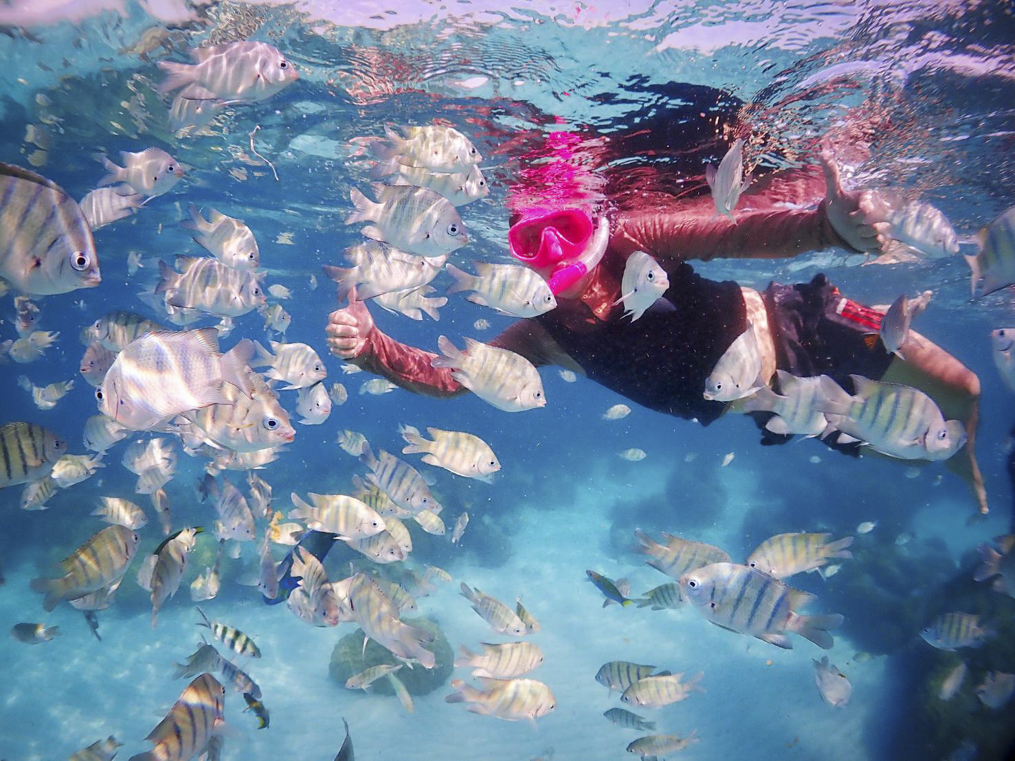 當您加入魚群的旅程時，享受涼爽的海水撫摸您的皮膚的感覺