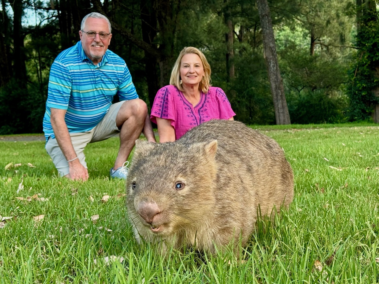 Wild Wombats, Kangaroos, and Waterfalls Tour all inclusive